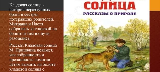 Краткий пересказ рассказа “кладовая солнца” по главам (краткое содержание)