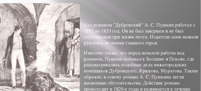 Критика о романе “дубровский” пушкина, отзывы современников