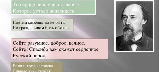 Цитаты из поэмы “кому на руси жить хорошо” некрасова: афоризмы, крылатые выражения