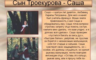 Саша троекуров в романе “дубровский”: образ, характеристика, описание