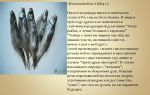 Анализ сказки “вяленая вобла” салтыкова-щедрина: идея, тема, суть и смысл
